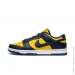  Nike Dunk Low Yellow/Blue (DD1391-700-43)