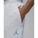   Nike Flight MVP Fleece (FN6356-043-L)