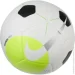 Nike   FUTSAL PRO-TEAM DH1992-100