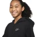 Nike  G NSW FZ HDY JSY LBR FN8595-010 