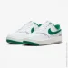  Nike Gamma Force . 42 Malachite (DX9176-106-42)