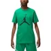   Nike Jumpman Logo (CJ0921-310-L)