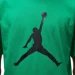   Nike Jumpman Logo (CJ0921-310-L)