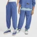   Nike K NK COB FLC PANT (FZ5264-461-L)