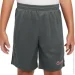 Nike  K NK DF ACD23 SHORT K BR DX5476-069 . XS 