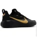  Nike LeBron TR1 (FJ6151-004-45)