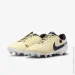 Nike Legend 10 Ac.FG/M (DV4337-700-42)