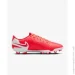 Nike   LEGEND 10 CLUB FG/MG  39 (7dDV4344-800 39)