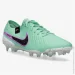 Nike LEGEND 10 ELITE FG (DV4328-300-42.5)