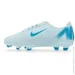 Nike Mercurial Vapor 16 (FQ8286-400-38.5)