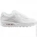    Nike Air Max 90 (CN8490-100-42)
