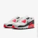  Nike Air Max 90 Gtx .38.5 (FD5810-101-38.5)