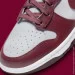    Nike Dunk High (DD1399-600-45)