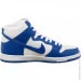   Nike Dunk High Pro (DH7149-400-44)