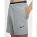 Nike NP FLEX REP SHORT 2.0 NPC (CU4991-073-M)
