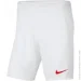 Шорты Nike Park III M (BV6855-103-S) Шорты Nike Park III M (BV6855-103-S)