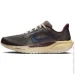  Nike Pegasus 41 Premium (HV4327-299-42)