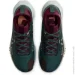  Nike Pegasus Trail 4 Gore-Tex (HM9728-300-47)