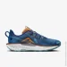  Nike Pegasus Trail 5 (DV3864-400-44)