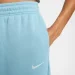   Nike Phoenix Fleece (FZ5996-464-S)