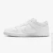  Nike SB Dunk Low Pro (FJ1674-100-43)
