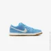  Nike SB Dunk Low Pro (FJ1674-401-42.5)