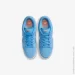  Nike SB Dunk Low Pro (FJ1674-401-45)