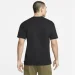   Nike SB TEE HUMMINGBIRD (DN7291-010-S)