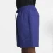  Nike Short Tech (HJ0679-539-L)