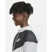  Nike Sportswear Windrunner (850443-102-104-110 )