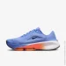  Nike Versair (DZ3547-401-39)