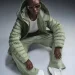  Nike W NSW ESSNTL PRIMA PUFFER (FB8729-370-L)