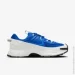  Nike Zoom Vomero Roam (FV2295-400-42.5)