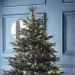 Niki Light      150 1500 NikiLight         (NLDU1500MLGW)