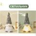    Niki Light          30      (PID8043)