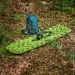 Nils   CAMP NC4005  (38532-08)