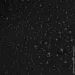 Nils   NC1708 BLACK TRIPPER (15-07-304)