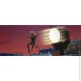 Nintendo  Miraculous: Paris Under Siege ( ) (Nintendo Switch) (54472)