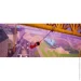 Nintendo  Miraculous: Paris Under Siege ( ) (Nintendo Switch) (54472)