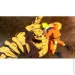  Nintendo Naruto X Boruto Ultimate Ninja Storm Connections ( ) (Nintendo Switch) (19219)