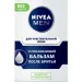Nivea       100 