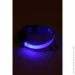 Led нашийник для собак на батарейках, розмір М 40-48 см, 2,5см ДМР1932 Блакитний (2000989398271) Led нашийник для собак на батарейках, розмір М 40-48 см, 2,5см ДМР1932 Блакитний (2000989398271)