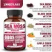 Специальная добавка Nootrilabs Naturals Премиальная мощная смесь для поддержки иммунной системы Sea Moss 90 капсул Специальная добавка Nootrilabs Naturals Премиальная мощная смесь для поддержки иммунной системы Sea Moss 90 капсул