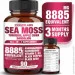 Специальная добавка Nootrilabs Naturals Премиальная мощная смесь для поддержки иммунной системы Sea Moss 90 капсул Специальная добавка Nootrilabs Naturals Премиальная мощная смесь для поддержки иммунной системы Sea Moss 90 капсул