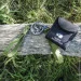 Nordic   -  (NPS11003)