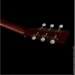   Norman B20 Natural GT Presys II