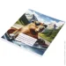 Nota Bene   Capybara_25 24   