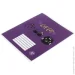 Nota Bene   Cats24 12    _2