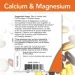 ̳   , Calcium & Magnesium 2:1 Ratio, Now Foods, 100  (NF1270)