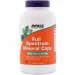    NOW Full Spectrum Mineral, 240 